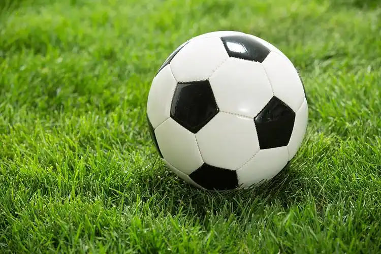 用户常见问题解答示意图